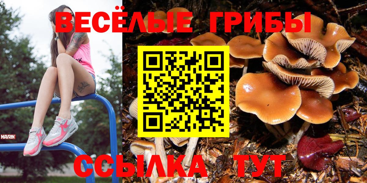 Галлюциногенные грибы GOLDEN TEACHER Мелеуз