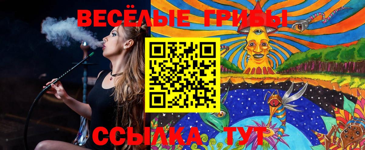 Меф  Мелеуз  ГАШ  Cocaine  Альфа ПВП СК   АМФЕТАМИН   Мефедрон кристаллы  Канабис  Вход с VPN 