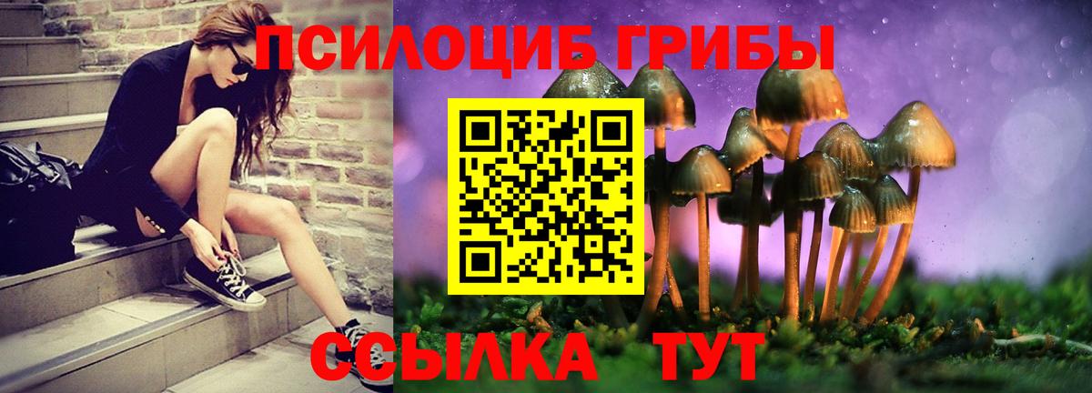 Мелеуз  Псилоцибиновые грибы прущие грибы  Псилоцибиновые грибы прущие грибы  Вход с VPN 